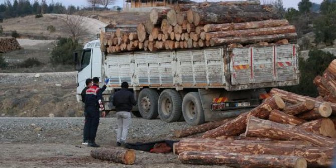 Kamyondan düşen tomruğun altında kalan işçi öldü