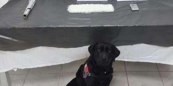 Narkotik köpeği 'Tumba' evin çatısında bir kilo metamfetamin buldu