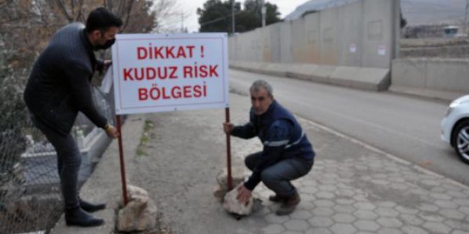 Derik’te 4'ü çocuk 7 kişiyi ısıran sokak köpeği kuduz çıktı; mahalle karantinaya alındı