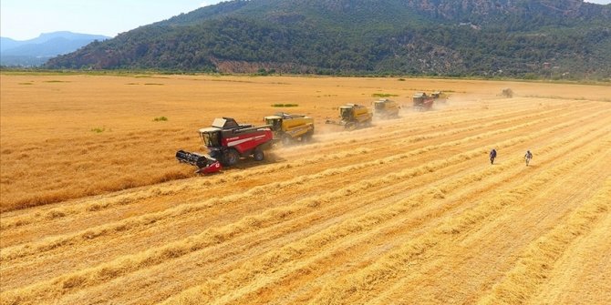 Tarımsal girdi fiyat endeksi Aralık 2021'de yıllık yüzde 45,61, aylık yüzde 9,82 arttı