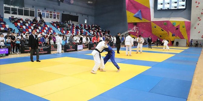 Uluslararası Judo Federasyonu, Vladimir Putin'in onursal başkanlığını askıya aldı