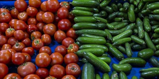 Rusya ve Ukrayna savaşı domates, biber ve salatalık fiyatını yüzde 30 düşürdü