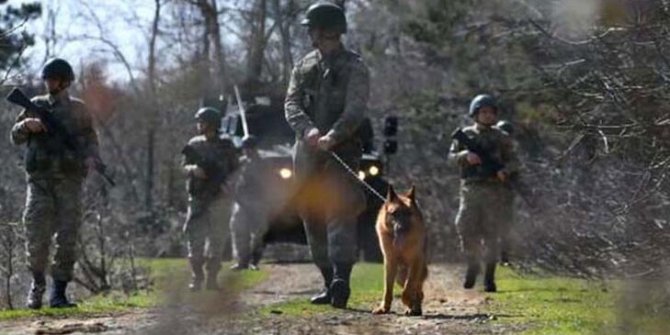 MSB: Yunanistan’a geçmeye çalışan 8 kişiyi yakalandı