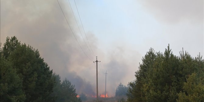 Ukrayna, Zaporijya Nükleer Santrali sahasında kontrolün Rus ordusuna geçtiğini açıkladı