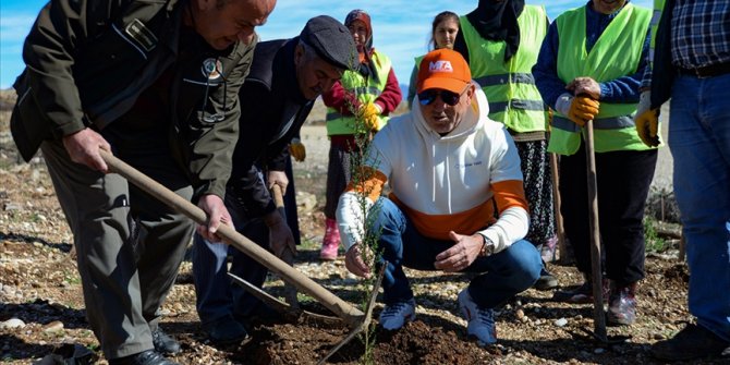 Manavgat'ta yanan ormanlık alana 20 bin fidan dikimi