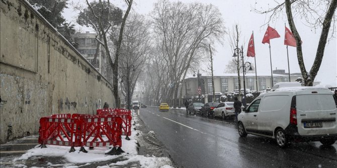 Çırağan Caddesi'ndeki çınar ağaçlarının ihmalden kuruduğu iddiası