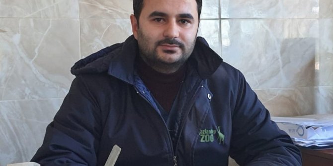 Köpeklerin davranışları saldırı olasılığına ilişkin ipucu veriyor