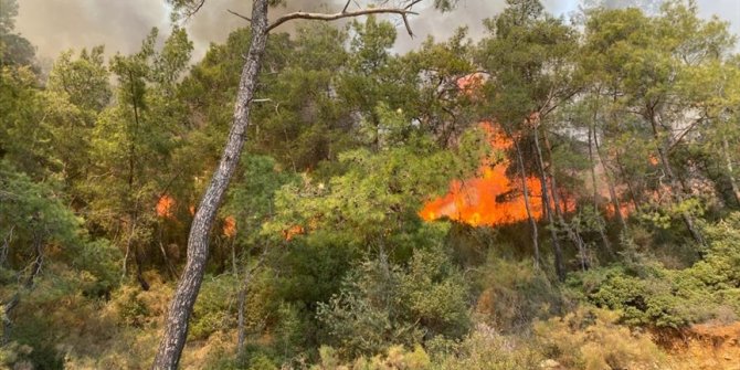 Fethiye'de orman yangını çıktı