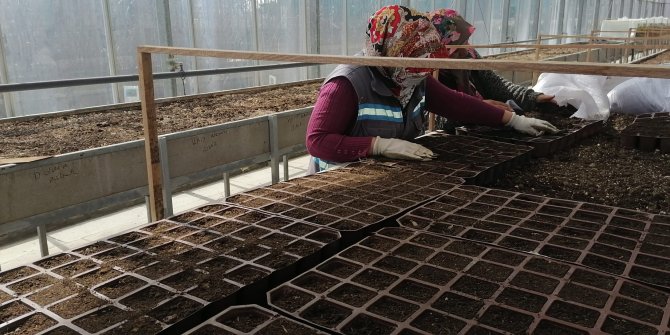 Sincan Belediyesi, bahara hazırlanıyor