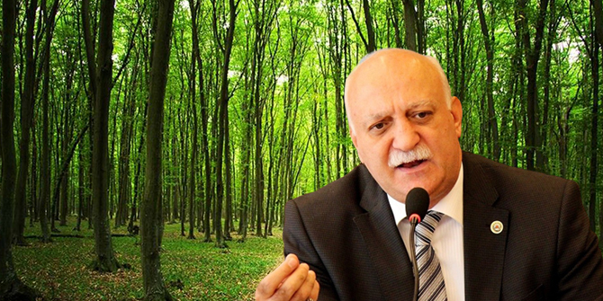 TZOB Genel Başkanı Şemsi Bayraktar'dan 21 Mart Dünya Ormancılık Günü açıklaması