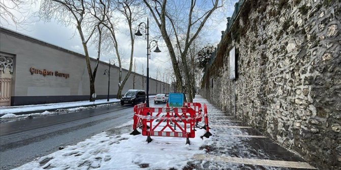 Çevre derneklerinden TEMA'ya çınar ağacı tepkisi