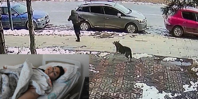 Köpekten kaçarken otomobilin çarptığı Baran, taburcu oldu