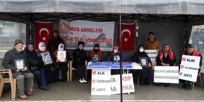 Muş'ta çocuklarını terör örgütünden kurtarmak isteyen ailelerin sayısı 29'a yükseldi