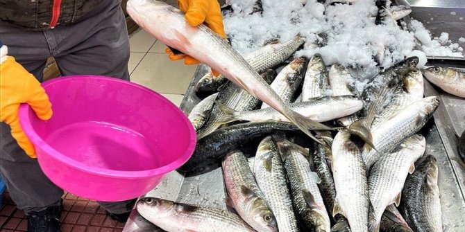 Karadeniz'deki kötü hava koşulları balıkçılığı olumsuz etkiledi
