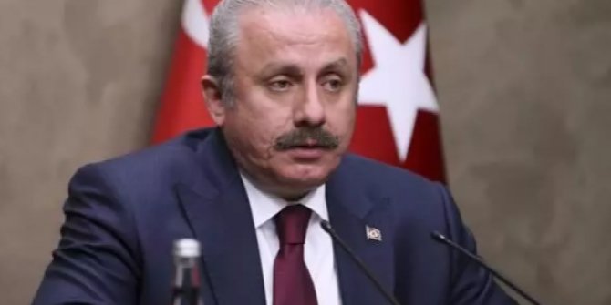 TBMM Başkanı Şentop, Rusya ve Ukrayna'nın İstanbul kararını değerlendirdi