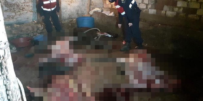 Akhisar'da at ve eşek kesen 5 kişi suçüstü yakalandı