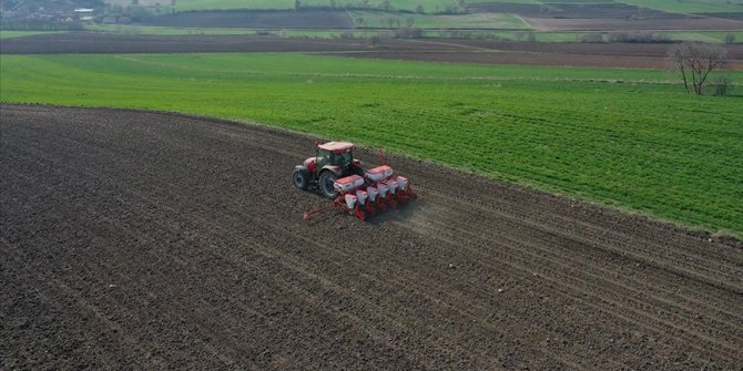 Türkiye'nin önemli ayçiçeği üretim merkezlerinden Edirne'de ekim mesaisi başladı