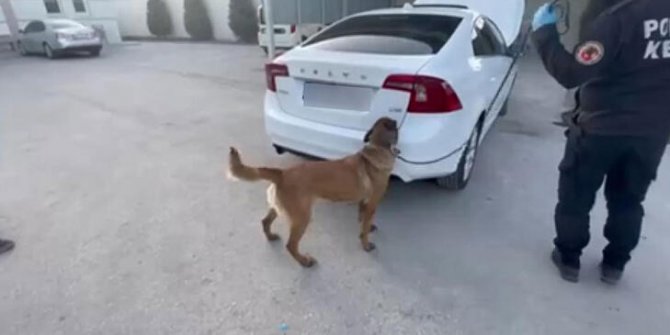 Otomobilin bagajındaki 15 kilo eroini 'Felix' buldu