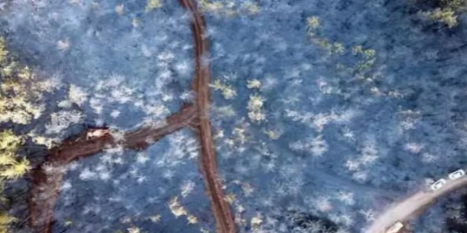 Çanakkale ve Bursa'daki orman yangınları söndürüldü