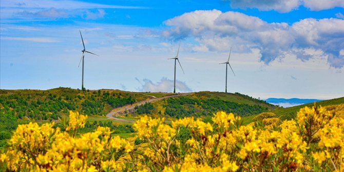Rüzgardan elektrik üretimi rekor tazeledi
