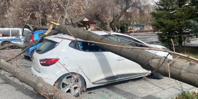 Ankara’da kuvvetli rüzgar; ağaçlar araçların üzerine devrildi