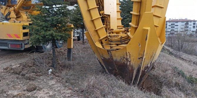 Pursaklar'da ağaçlar zarar görmeden sökülüp yeni yerlerine dikiyor