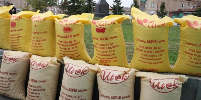 Kayseri'de çiftçilere 18 ton aspir tohumu dağıtıldı