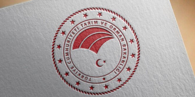 'Süs hayvanı' ibaresi yönetmelikten kaldırıldı
