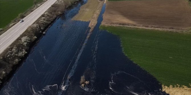 Edirne'de şantiye havuzundan sızan asfalt tarım alanına yayıldı