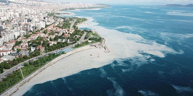 400 sayfalık rapor tamamlandı: İşte müsilajın nedeni