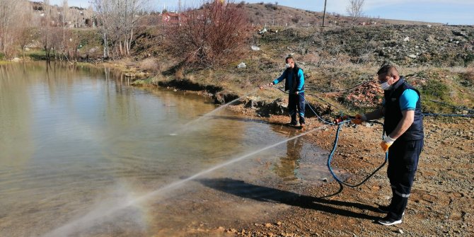 Pursaklar'da larvaların üreme bölgelerinde ilaçlama çalışmaları yapılıyor