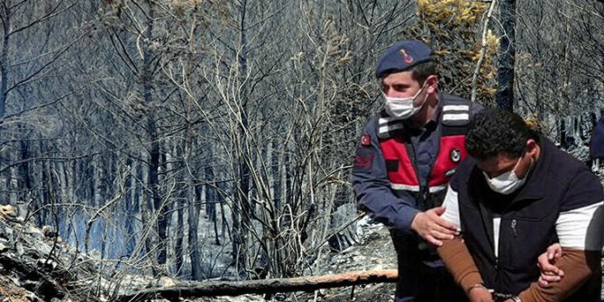 Dalaman’da orman vurgunu