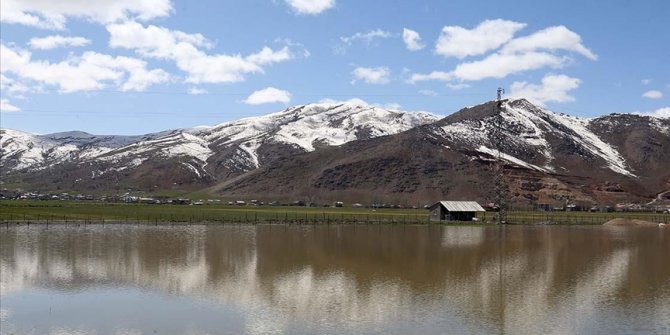Karların erimesiyle Muş Ovası'ndaki bazı araziler suyla kaplandı