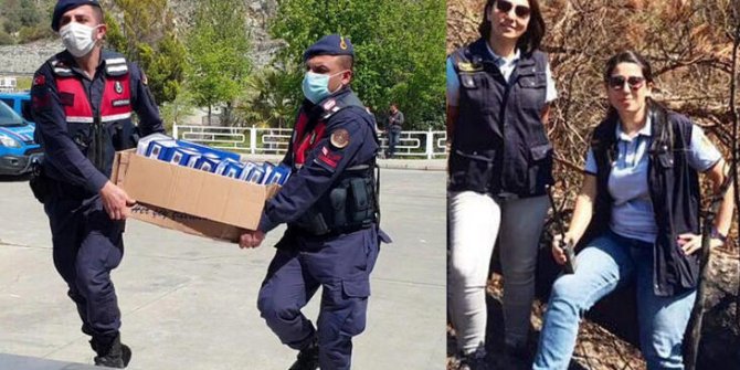 Büyük orman vurgunuyla ilgili müfettiş görevlendirildi