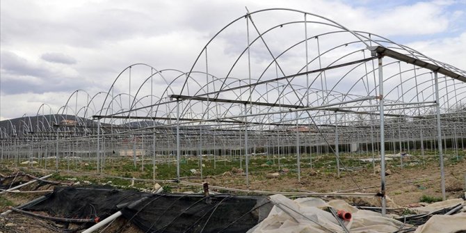 Amasya'da seraları kardan zarar gören çiftçiler destekle yeniden üretime başladı