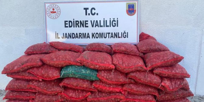 Yunanistan'a götürülmek istenen 750 kilo kum midyesi ele geçirildi