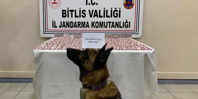 Yolcu otobüsündeki uyuşturucuyu narkotik köpeği 'Yakar' buldu