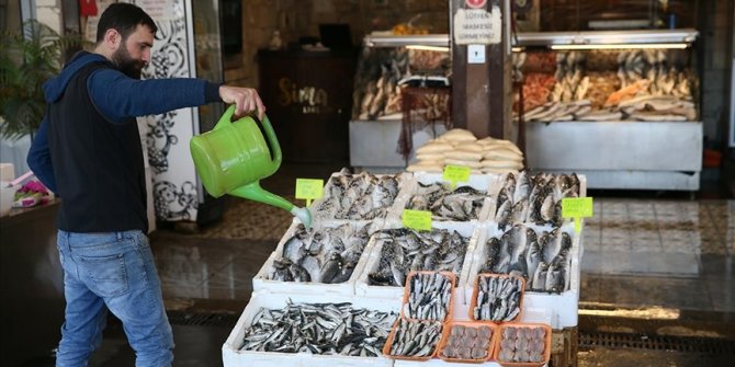 Sert kış, balıkçının umudunu seneye bıraktı