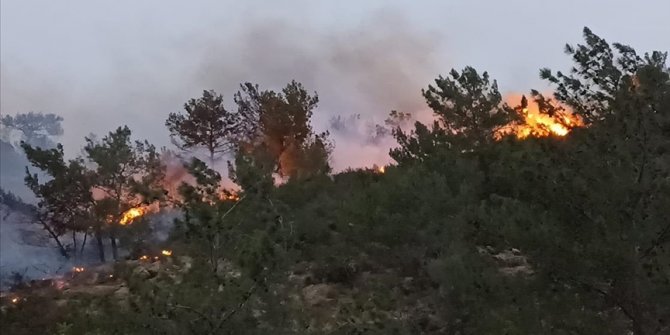 Bodrum'da ormanlık ve makilik alanda yangın çıktı