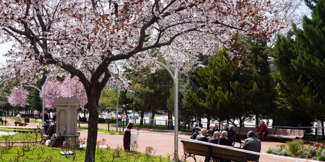 Atatürk Botanik Bahçesi bahara merhaba dedi