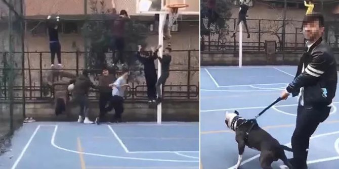 Pitbull'la şaka basketbol sahasındaki çocuklara dehşeti yaşattı
