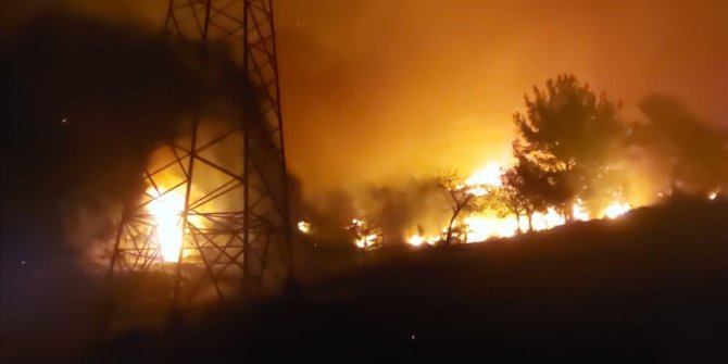 Hatay'da ormanlık alanda yangın çıktı