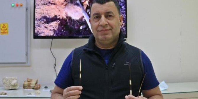 'Eti ilaç' denilerek avlanan, nesli tehlikedeki oklu kirpi için profesörden uyarı: Öyle bir şey yok