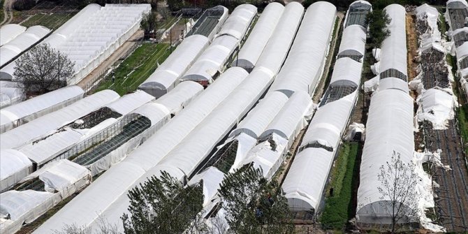 Amasya'da fırtına seralara zarar verdi