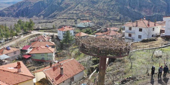 Büyükşehir Belediyesi, göçmen kuşlara yuva yaptı