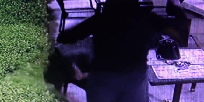 Boşanma aşamasındaki eşini çay bahçesinde öldürdü; olay anı kamerada