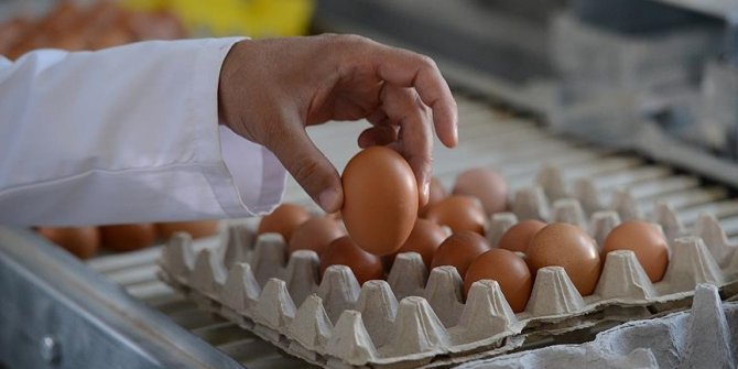 Türkiye'de güvenli gıda süreçleri konusunda önemli adımlar atılacak