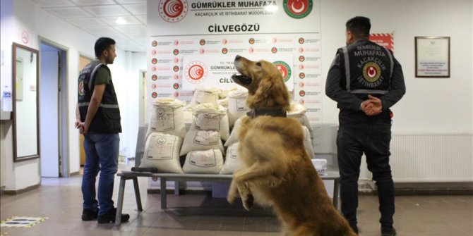 Gümrüklerde üç ayda 3,1 milyar liralık kaçak eşya ele geçirildi