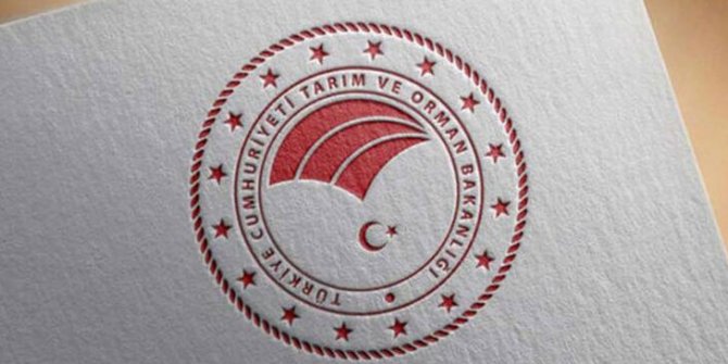 Türkiye'nin ağaçlandırma başarısına uluslararası ödül