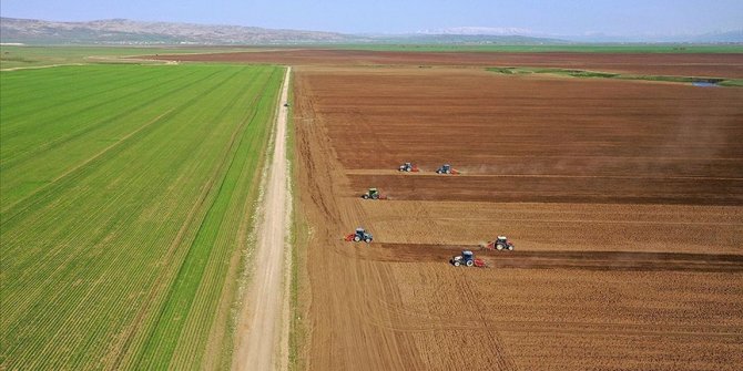 Tarım sektörü, çiftçi ve girişimciye verilecek 1,1 milyar lira hibe desteğinden memnun